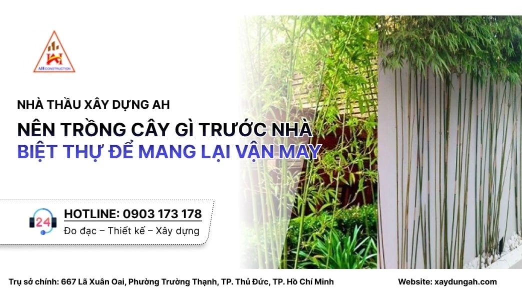 trồng cây gì trước nhà biệt thự