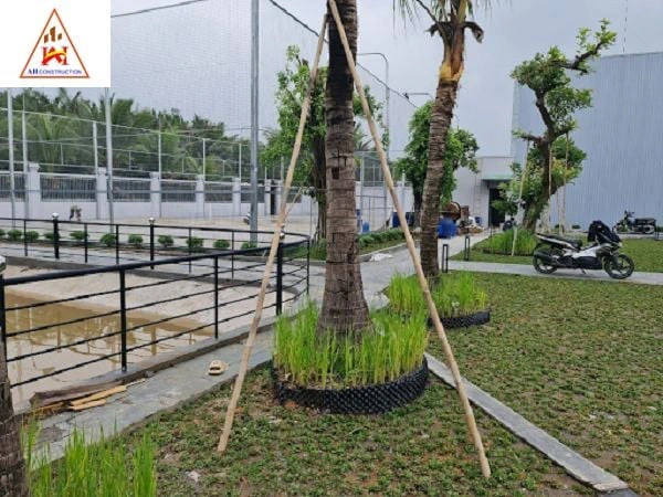 Bước đầu hoàn thiện sân tennis)