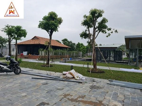 Trồng cây xanh cảnh quang