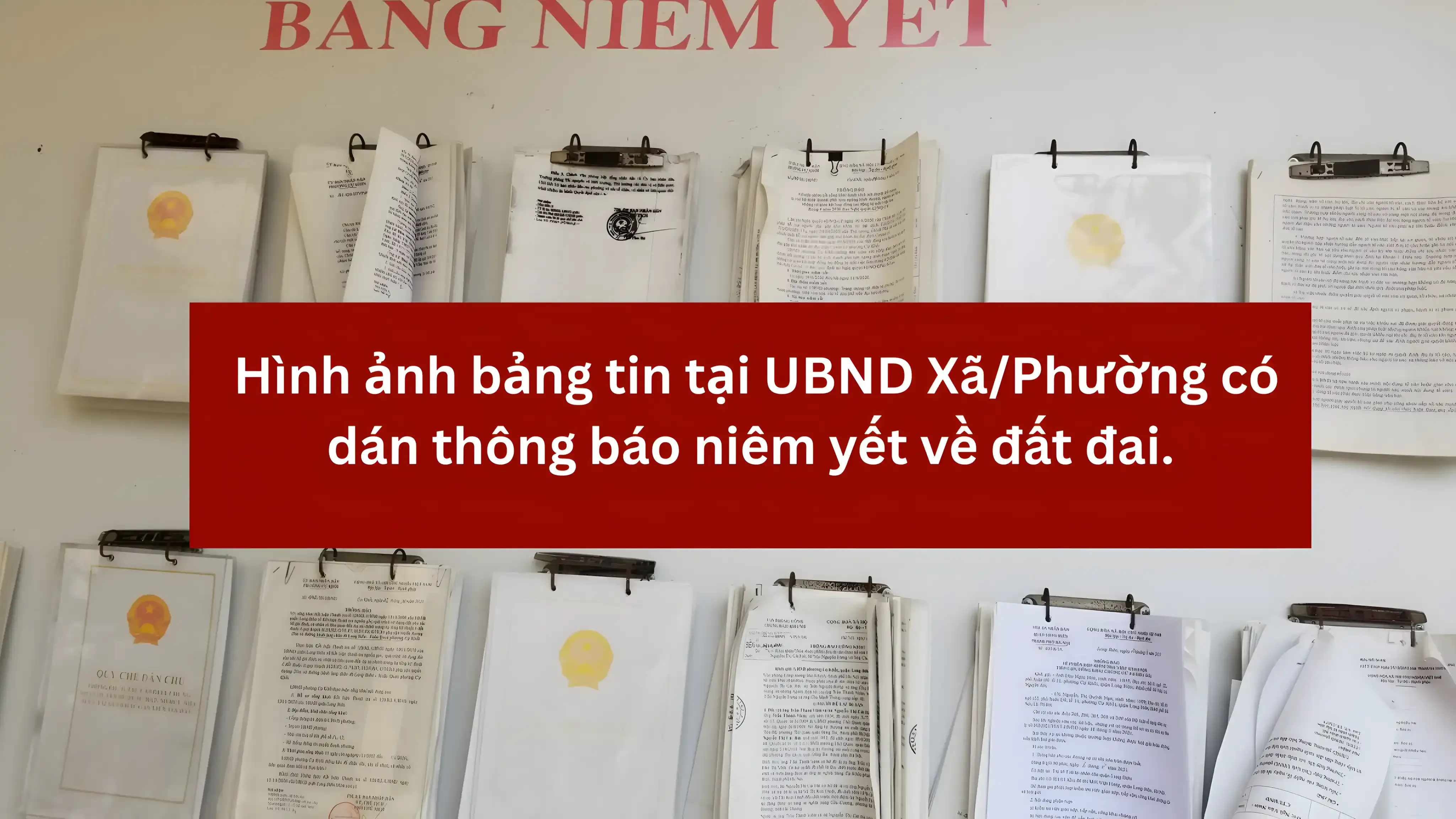 cap-so-do-lan-dau-tai-hcm