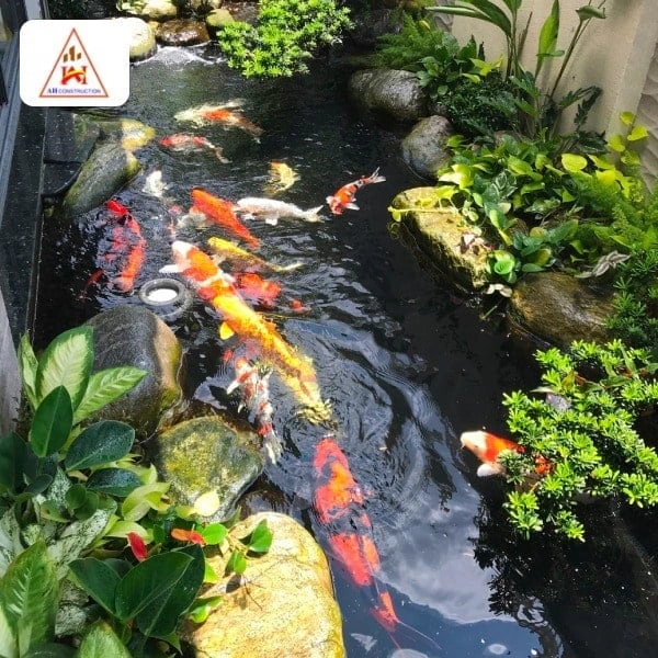 Hạn chế của việc xây hồ cá trước nhà